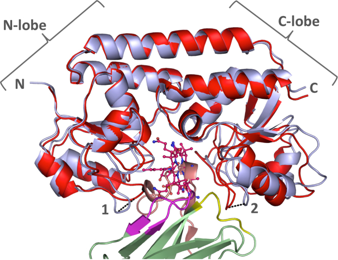 Figure 7