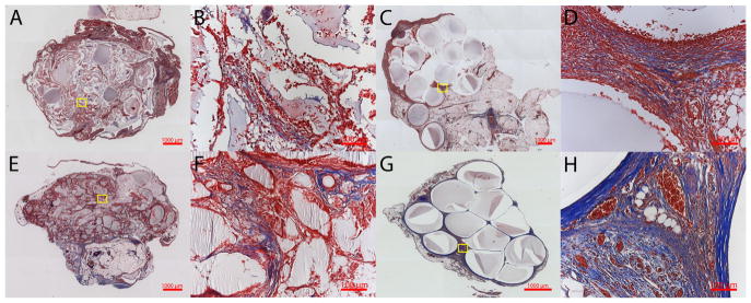 Fig. 13