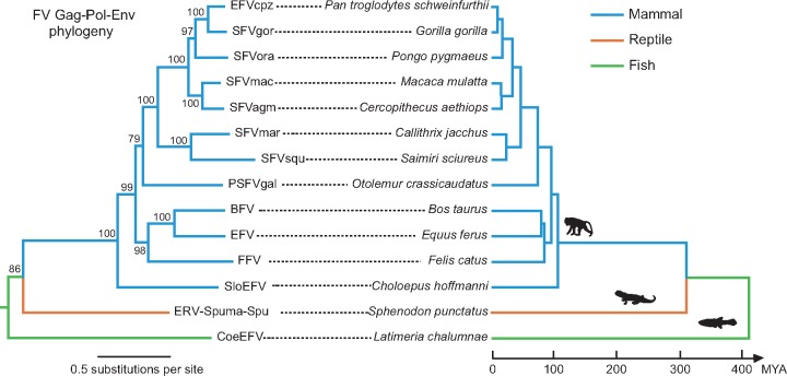 Figure 3. 