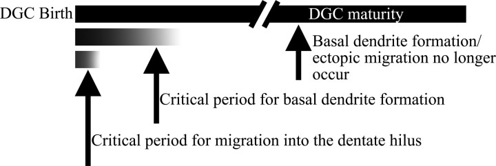 Figure 10.