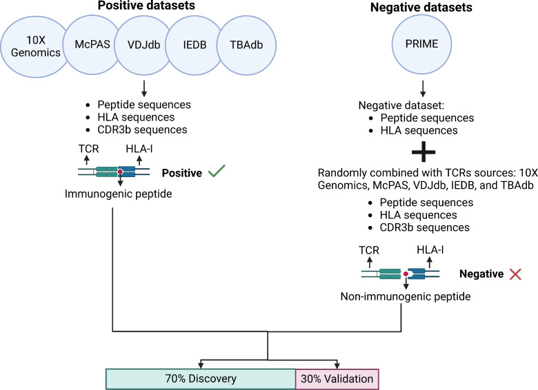 Figure 4—figure supplement 1.