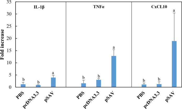 Fig 10