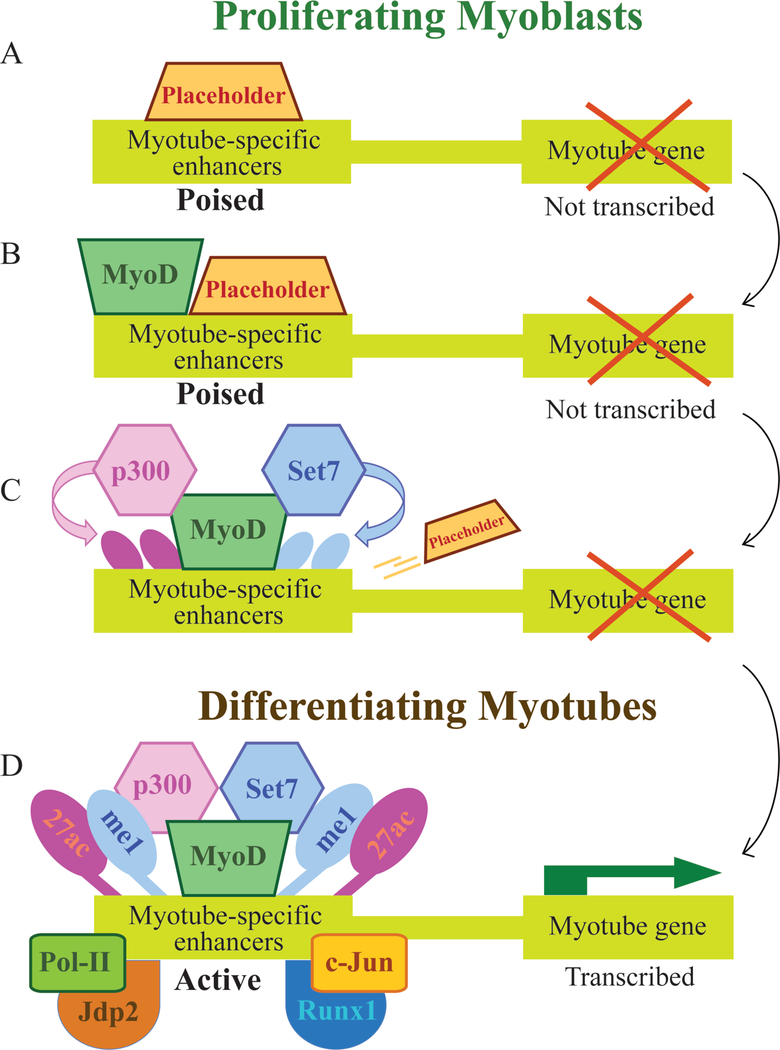 Figure 2: