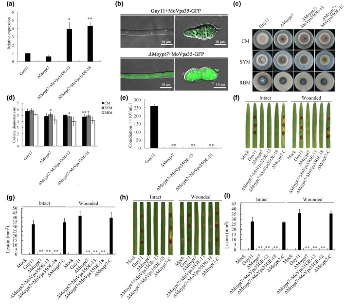 FIGURE 4