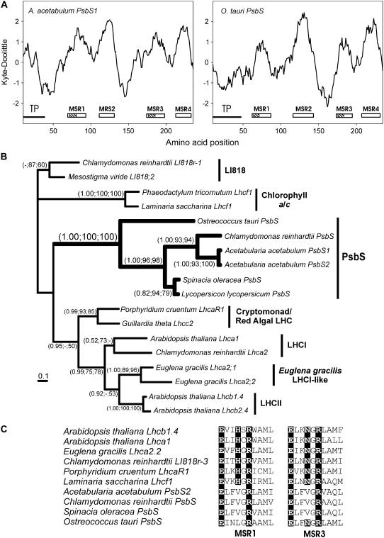 Figure 3.