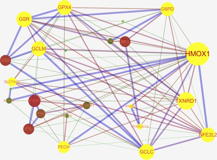 FIGURE 2