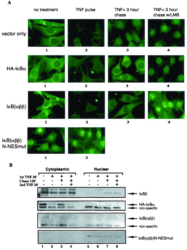 FIG. 6