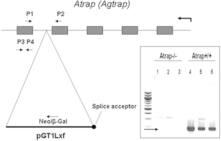 Figure 1.