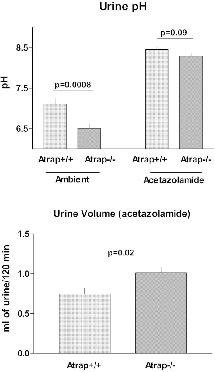 Figure 10.