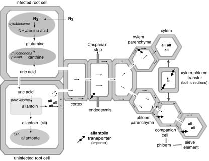 Figure 6.