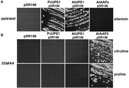 Figure 2.