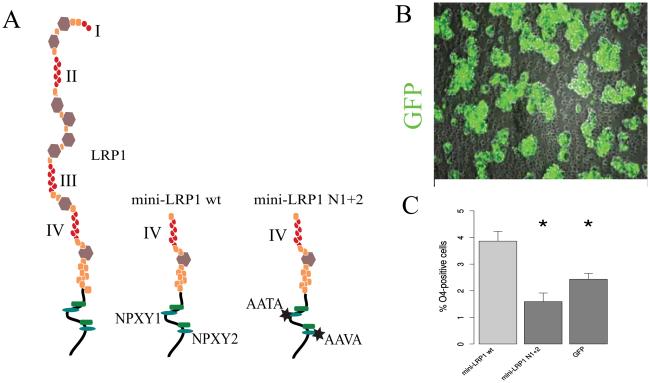 Fig. 9