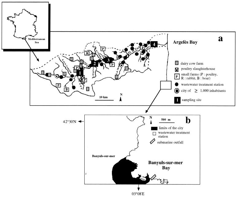 FIG. 1