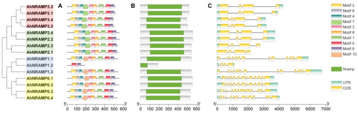 Figure 2