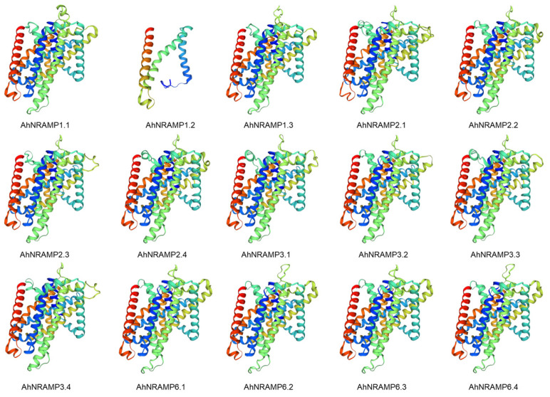 Figure 4