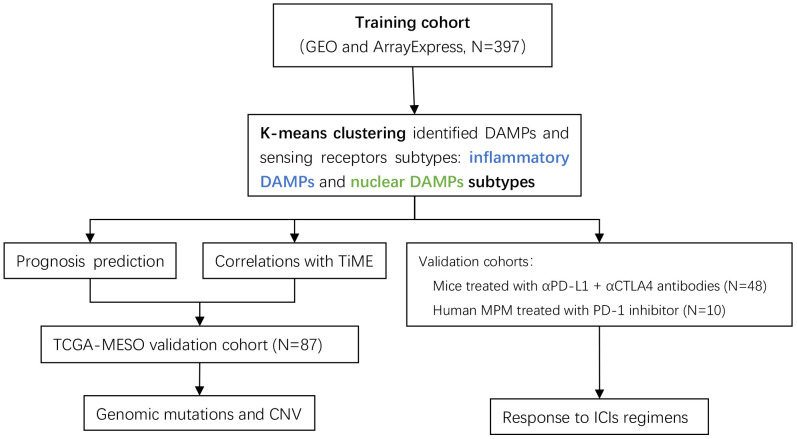 Figure 1