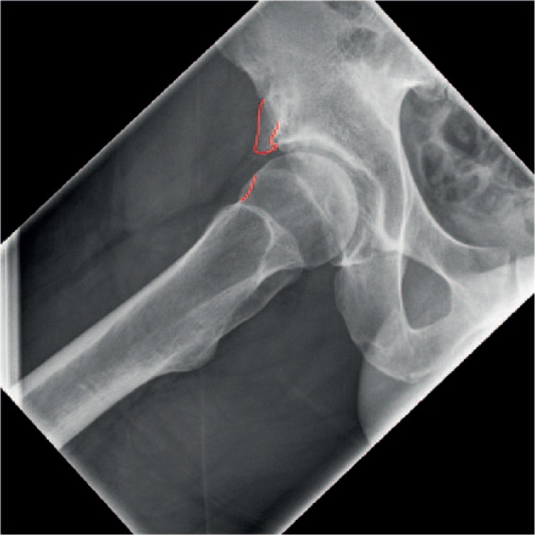 Fig. 4