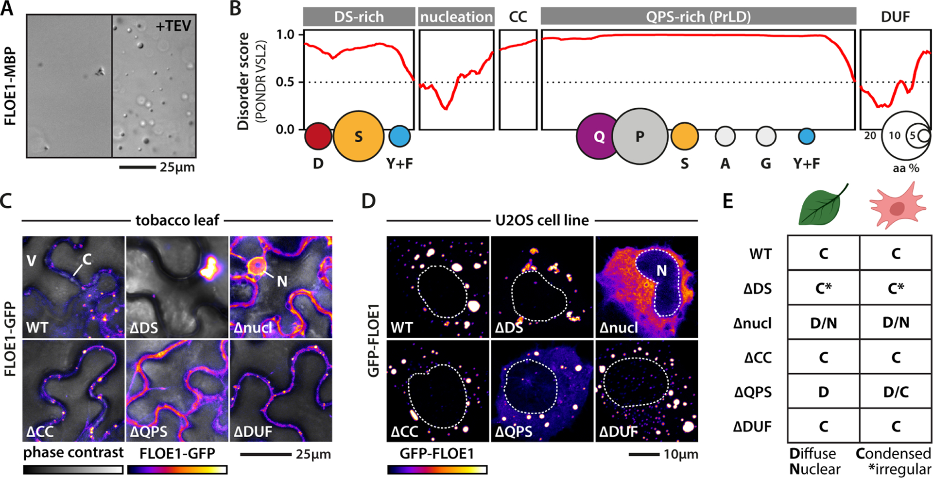 Figure 3: