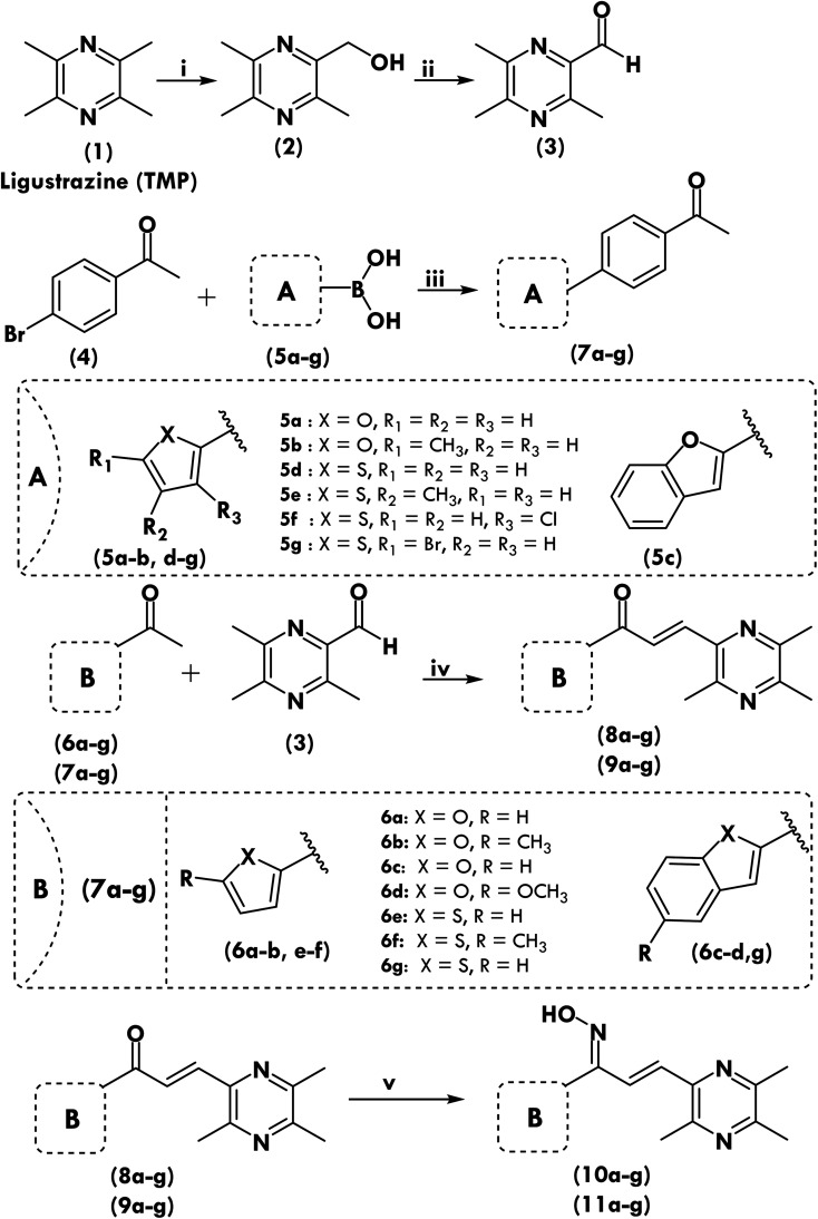 Scheme 1