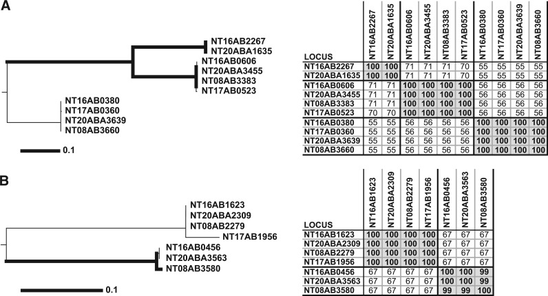 Figure 5.