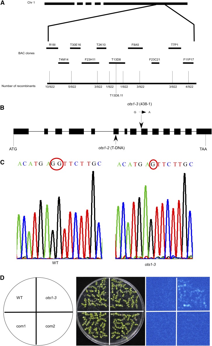 Figure 3.