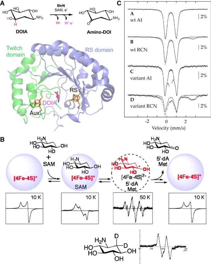 Fig. 2