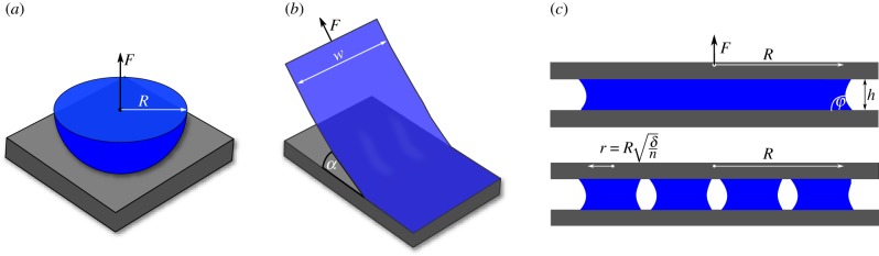 Figure 2.