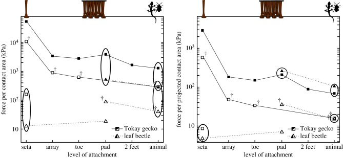 Figure 4.