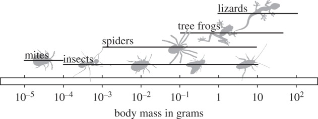 Figure 1.