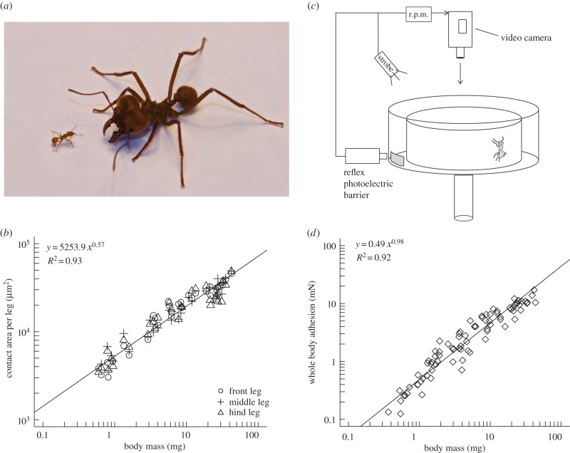 Figure 3.