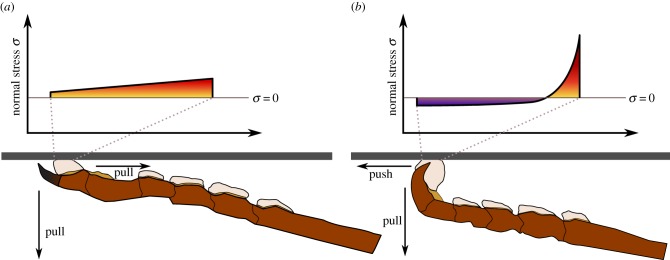 Figure 5.