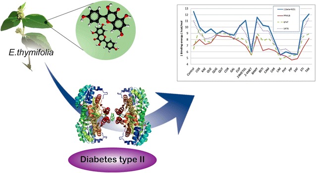 Graphical abstract