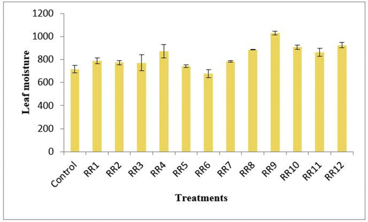 Figure 6