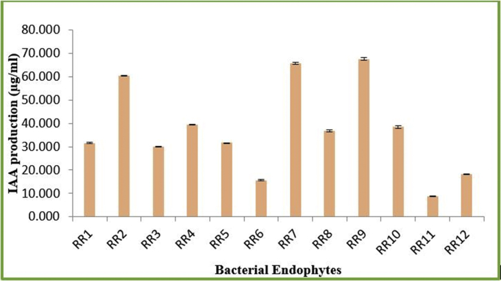 Figure 3