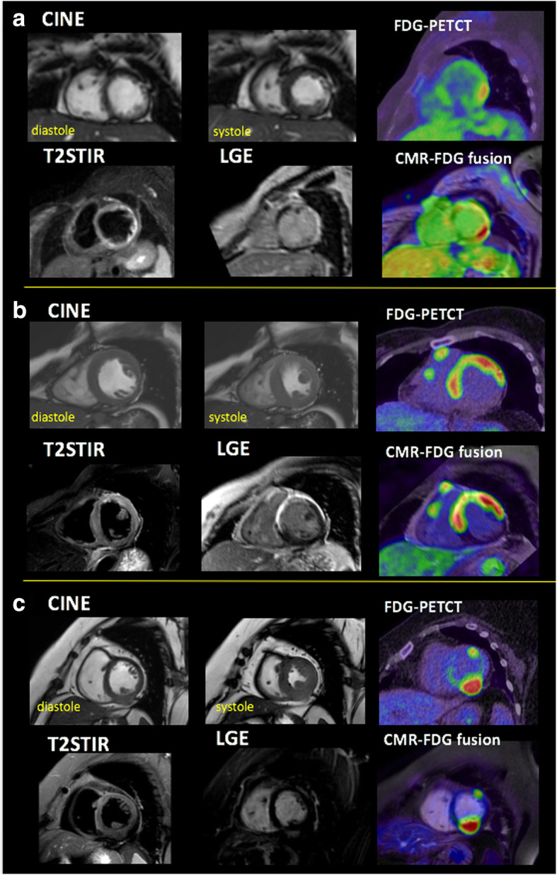 Fig. 6