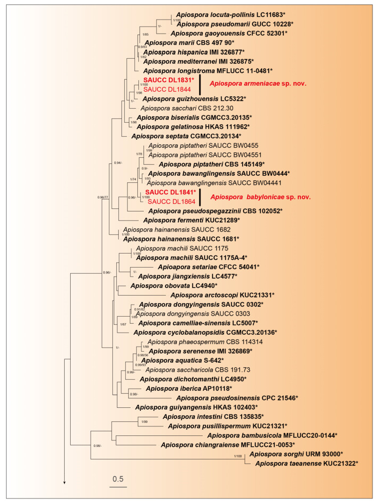 Figure 1