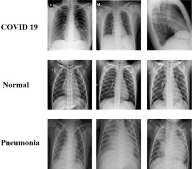 Fig. 5