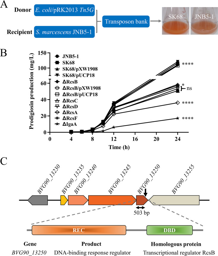 FIG 1