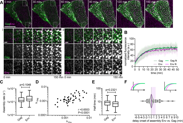 Fig 3