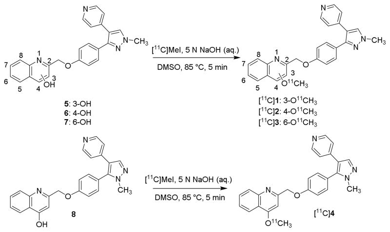 Scheme 1