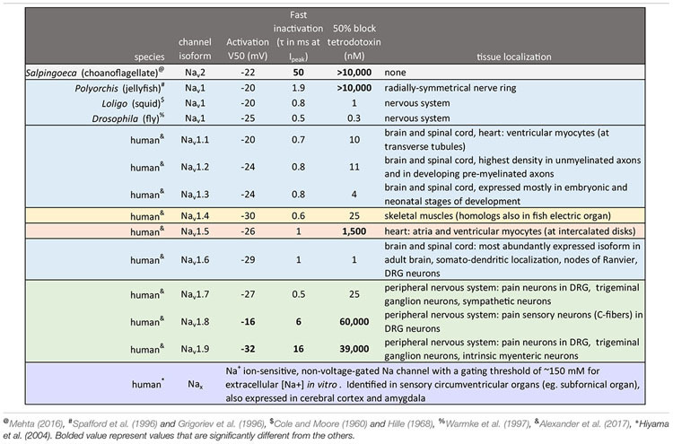 graphic file with name fphys-09-01406-t002.jpg