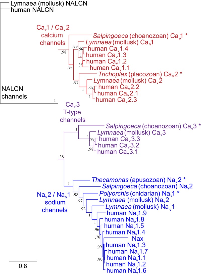 FIGURE 1