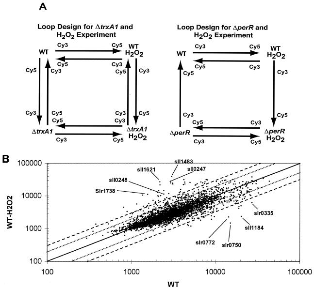 FIG. 1.