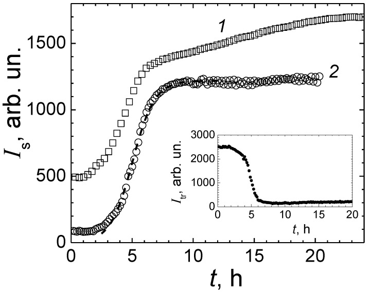 Figure 6