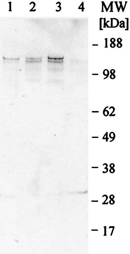 FIG. 8.