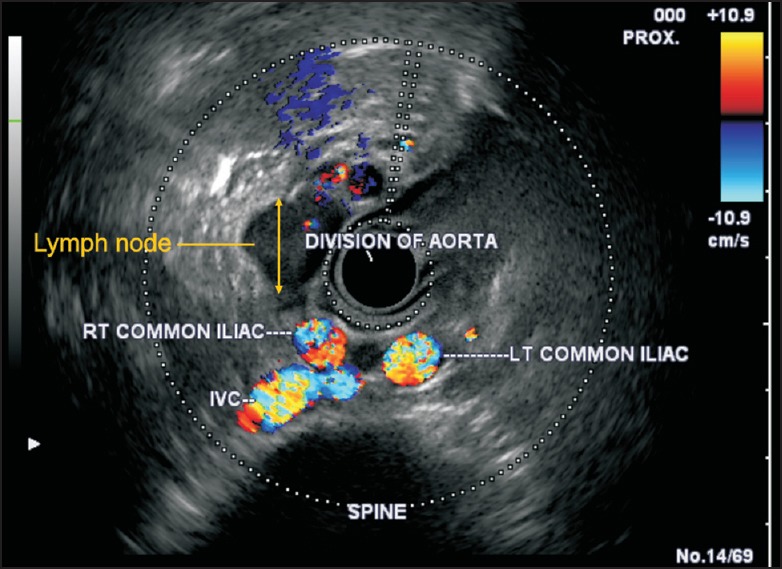 Figure 27