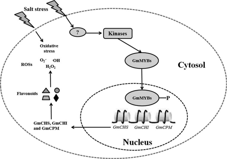 Fig. 10.