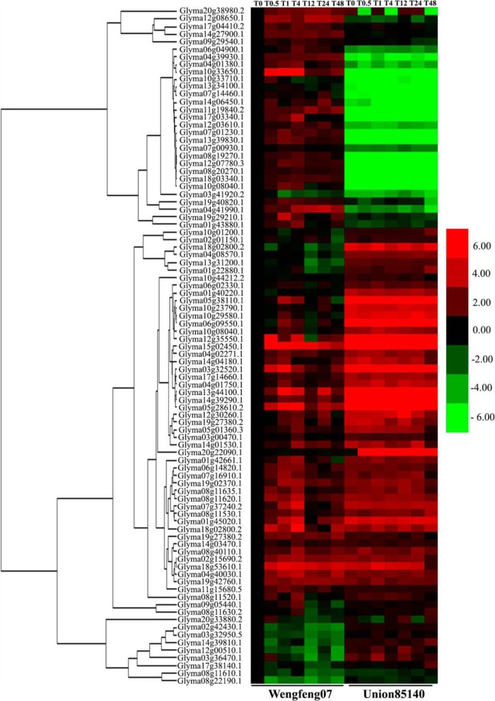 Fig. 4.