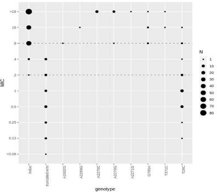 FIG 1