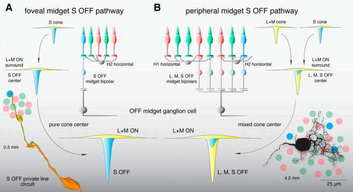 Figure 11.